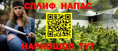 бошки Будённовск