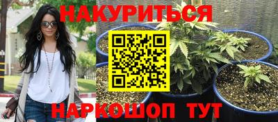 бошки Будённовск