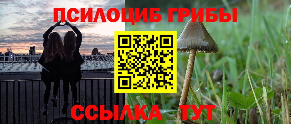 Псилоцибиновые грибы Psilocybine cubensis  Вход с VPN  Тайшет 